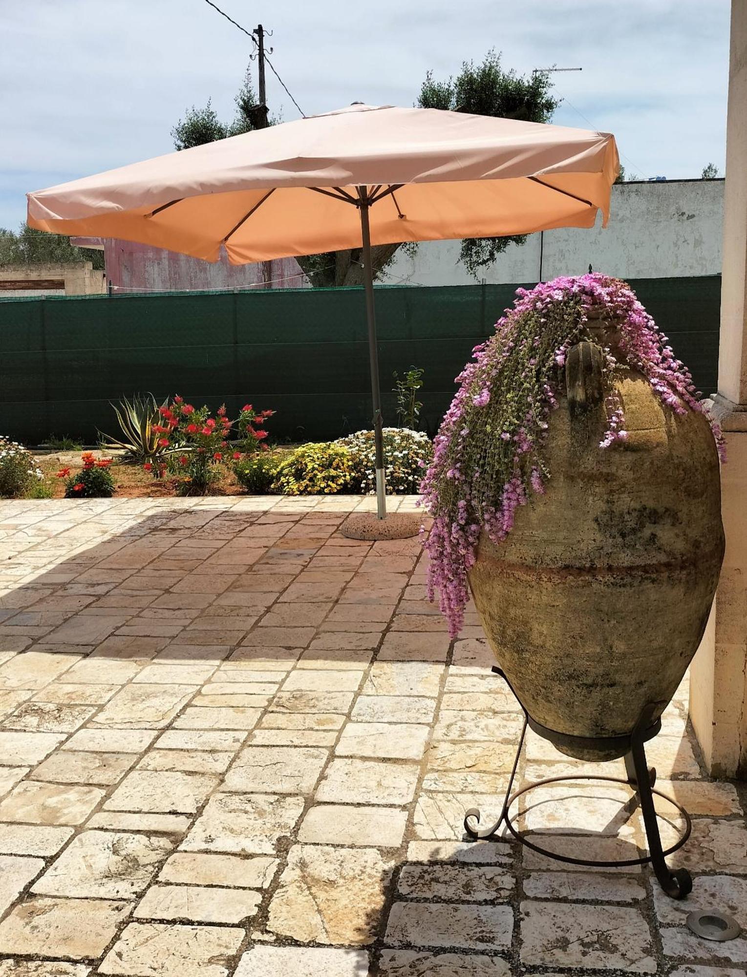 فندق Oleum ميسانيي المظهر الخارجي الصورة